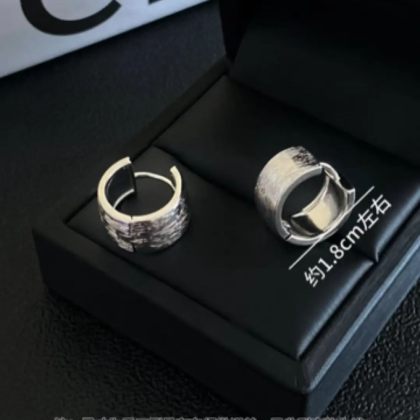 Satin-like brushed metal earrings